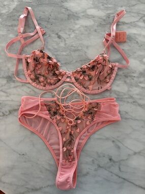 Delicate Pink Floral Embroidered Mesh Bra & Brief Set